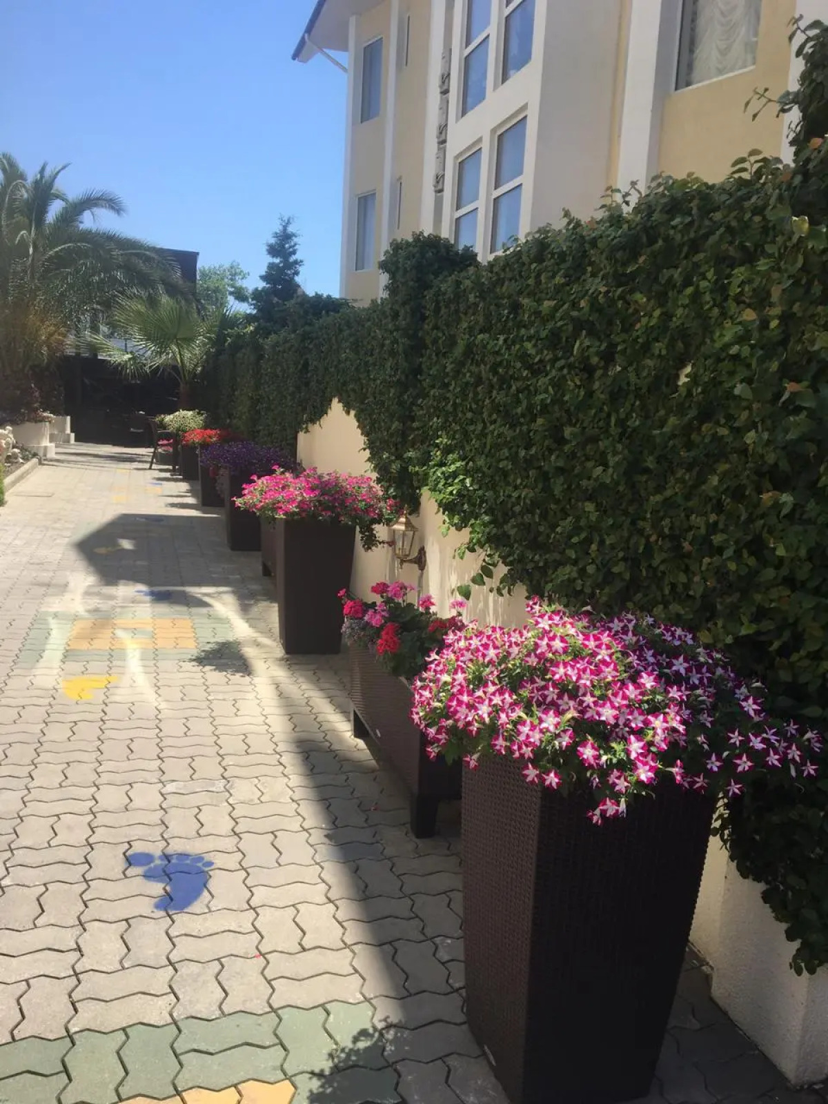 Частный Дом Пальма парк