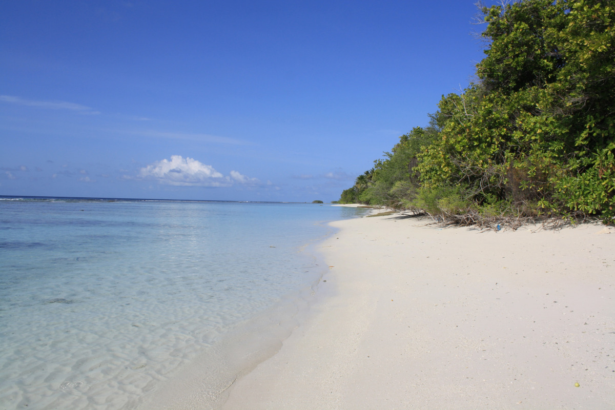 Отель Boutique Beach All Inclusive Diving