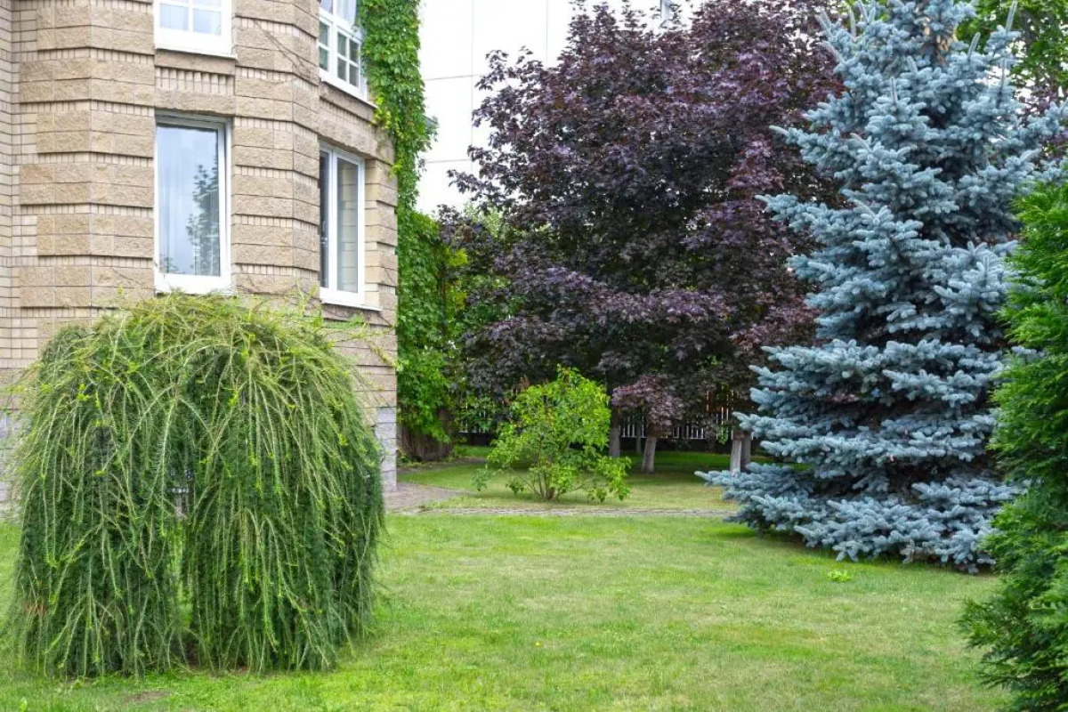 Гостевой дом DOM18