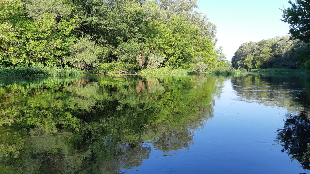 Гостевой дом на Есенина