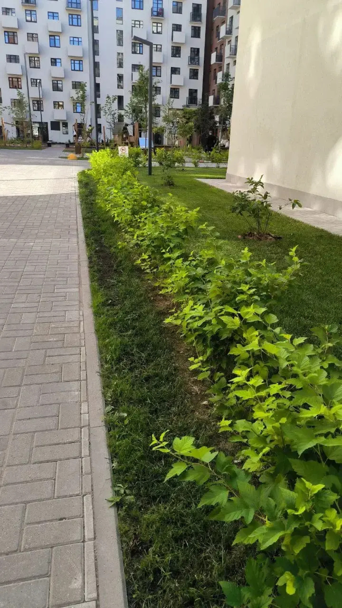 Квартира ЕвроДвушка В Самом Сердце Ярославля