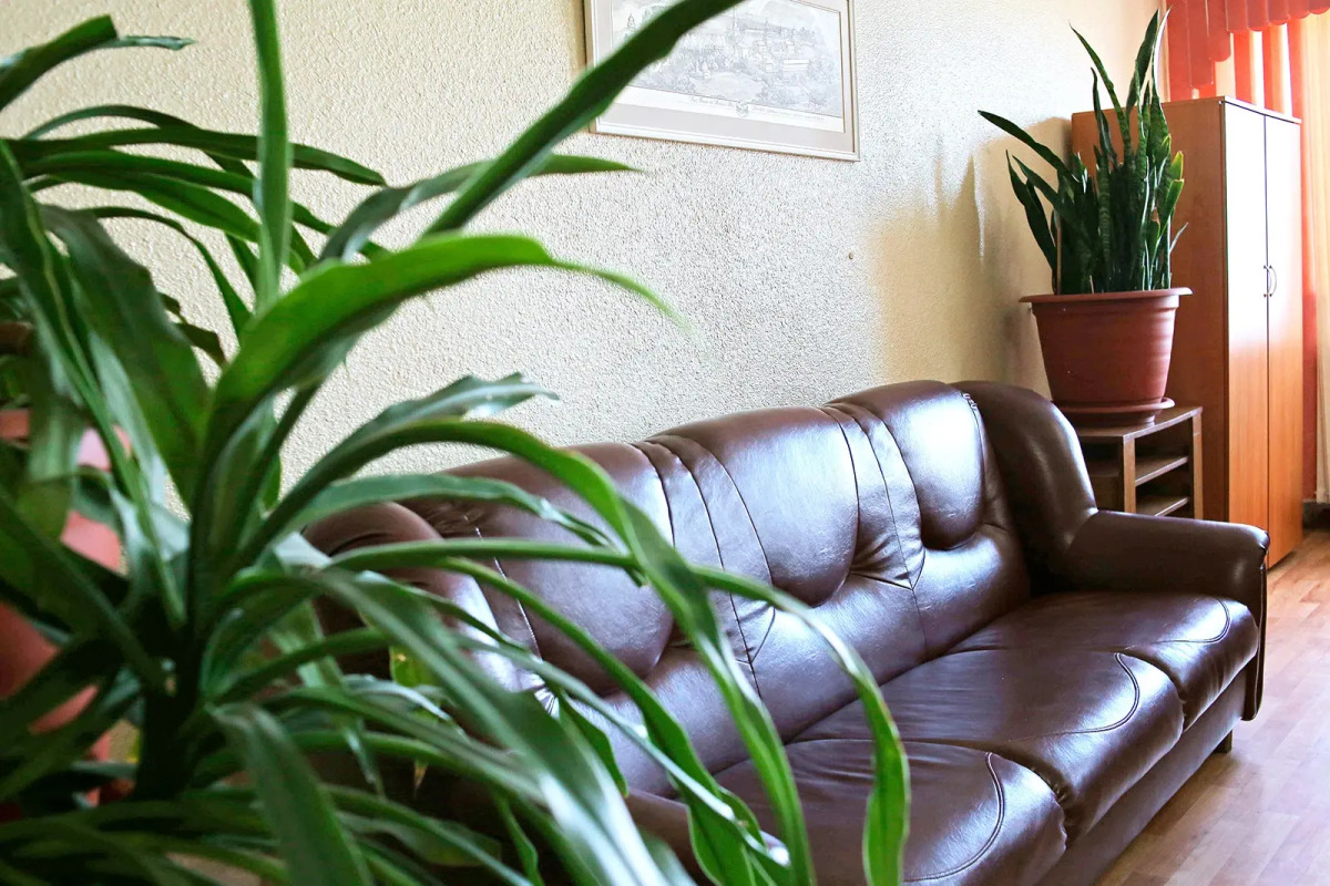 Отель Родина