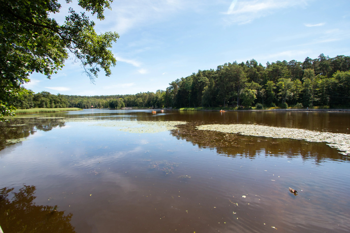 Апартаменты Lake City Sea Style