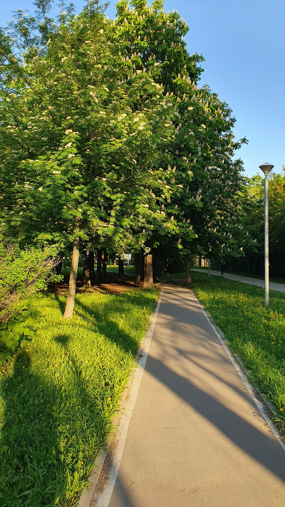 Квартира в новом ЖК рядом с Вересаева Уютный Дом