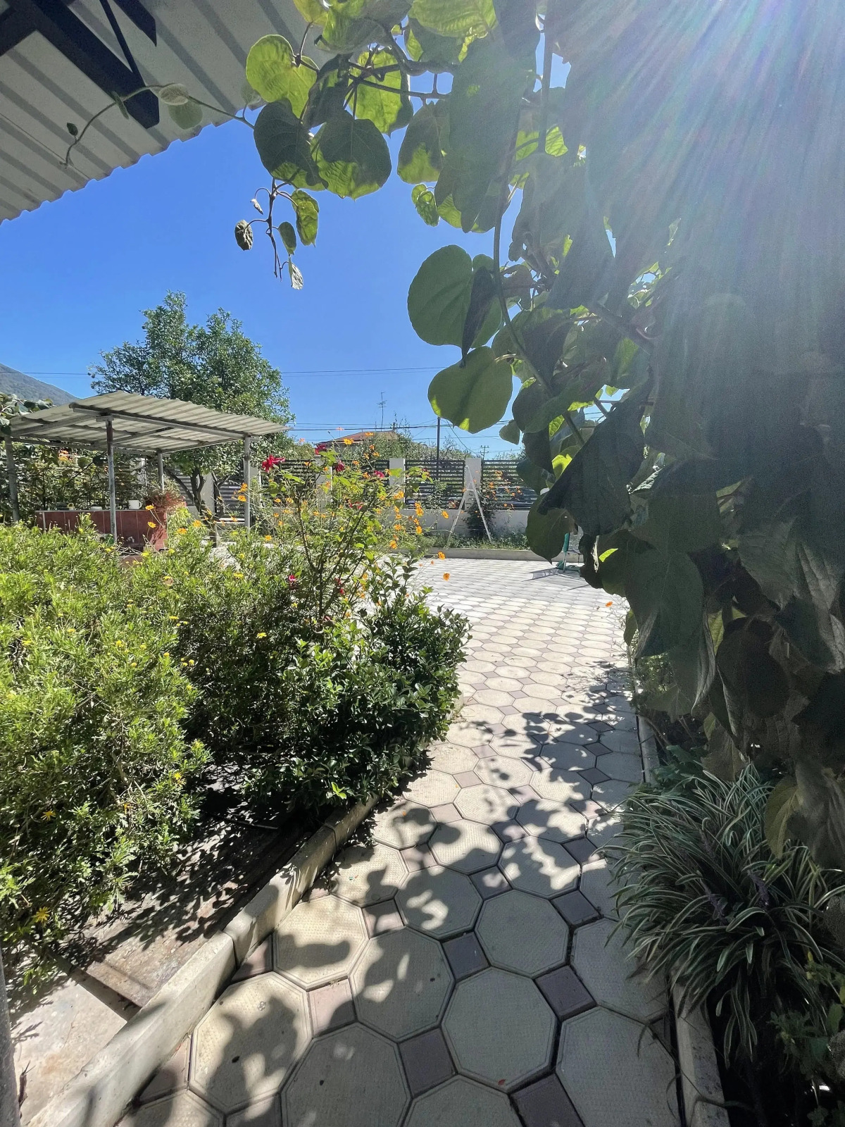 Гостевой Дом Paradise