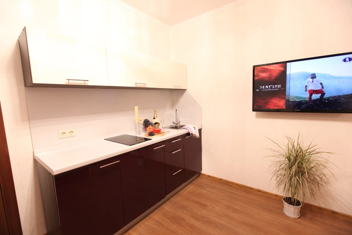 Апартаменты Золотой Шар на Революционной 2