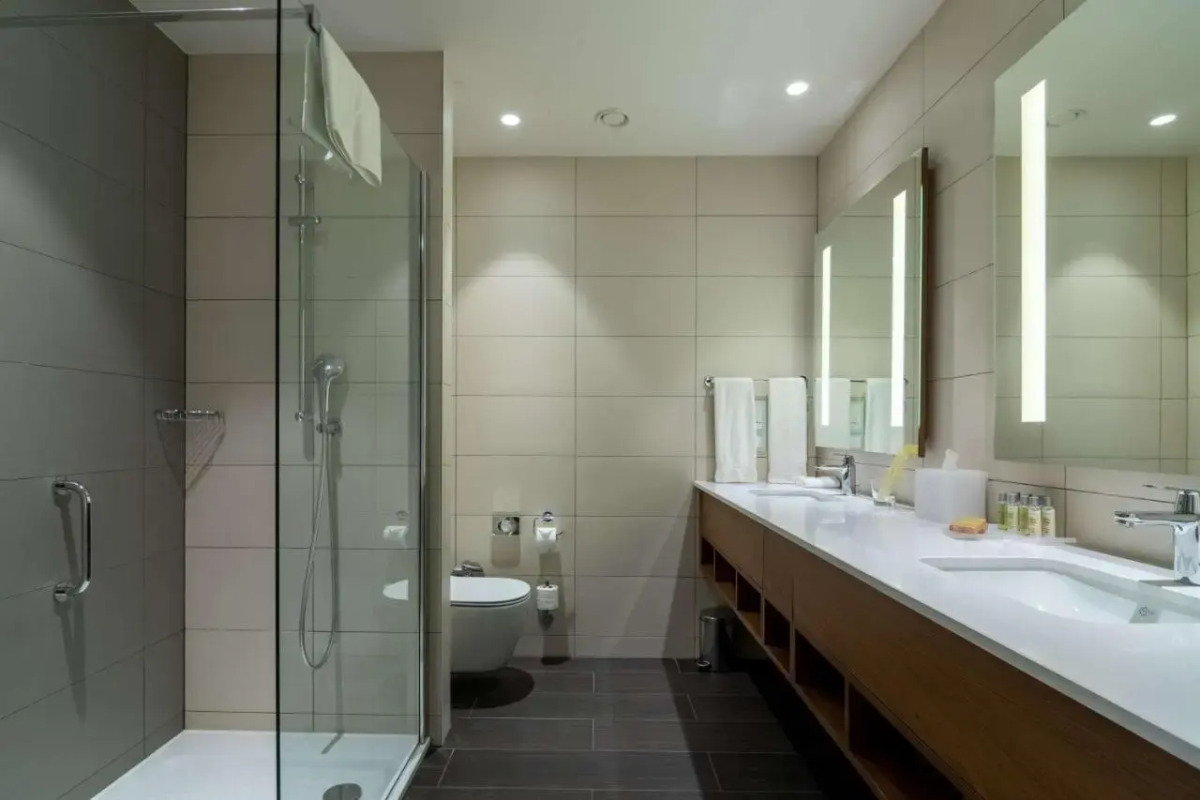 Отель Hilton Garden Inn Tbilisi Chavchavadze