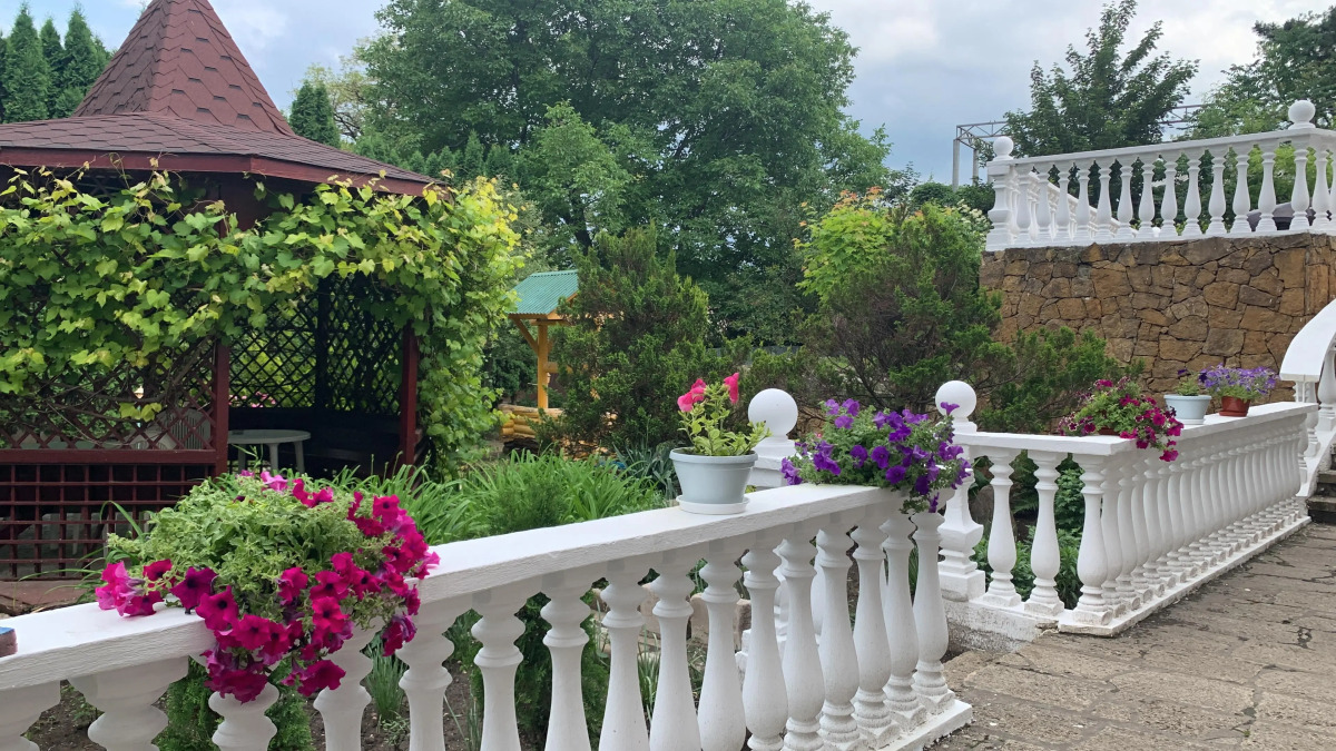 Отель Ласточка