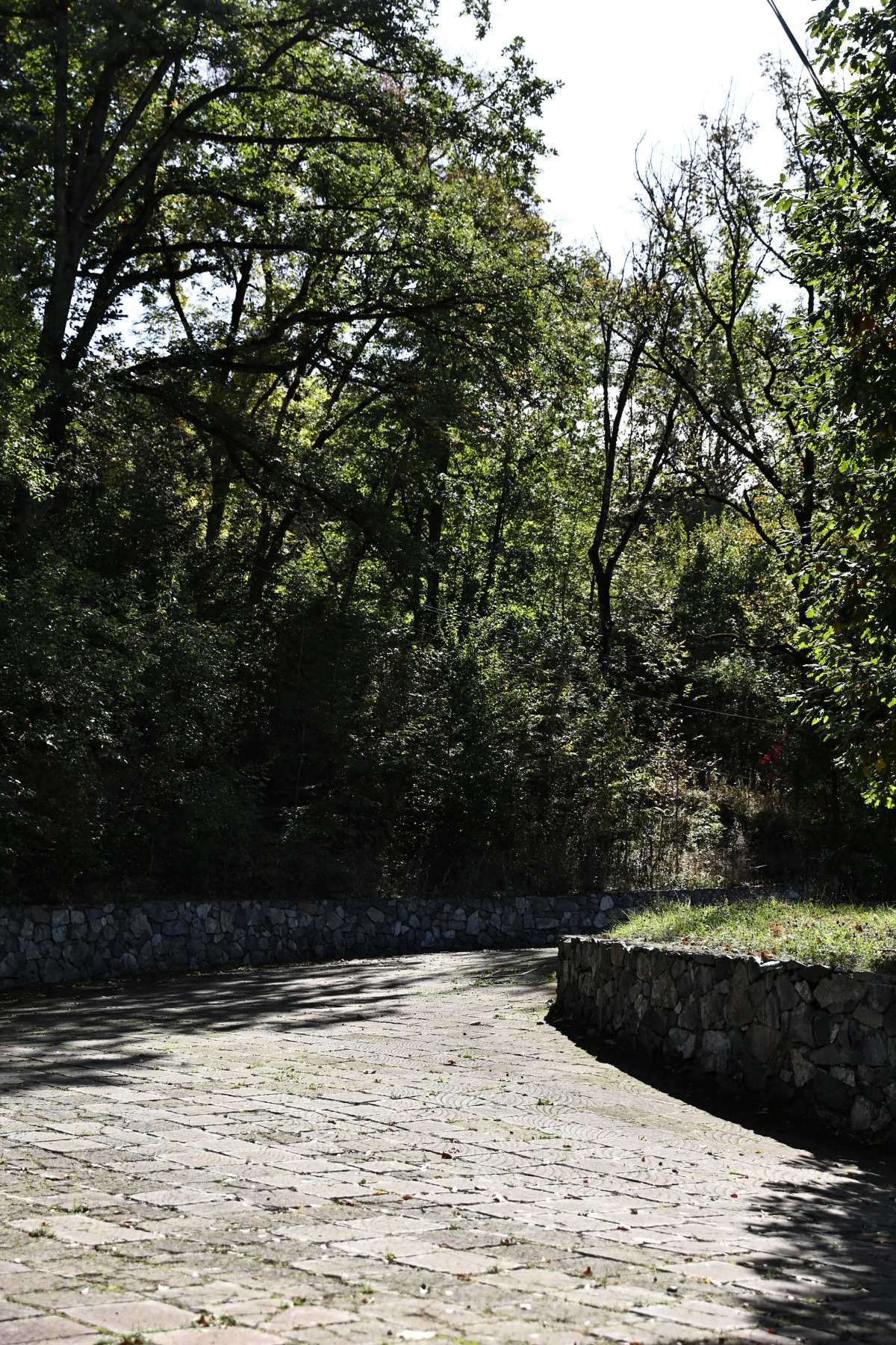 Курортный отель Dilijan Park Resort and Villas