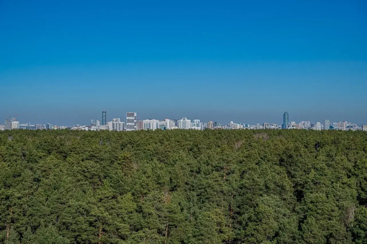 Квартира Великолепная Квартира с Видом на Сосны