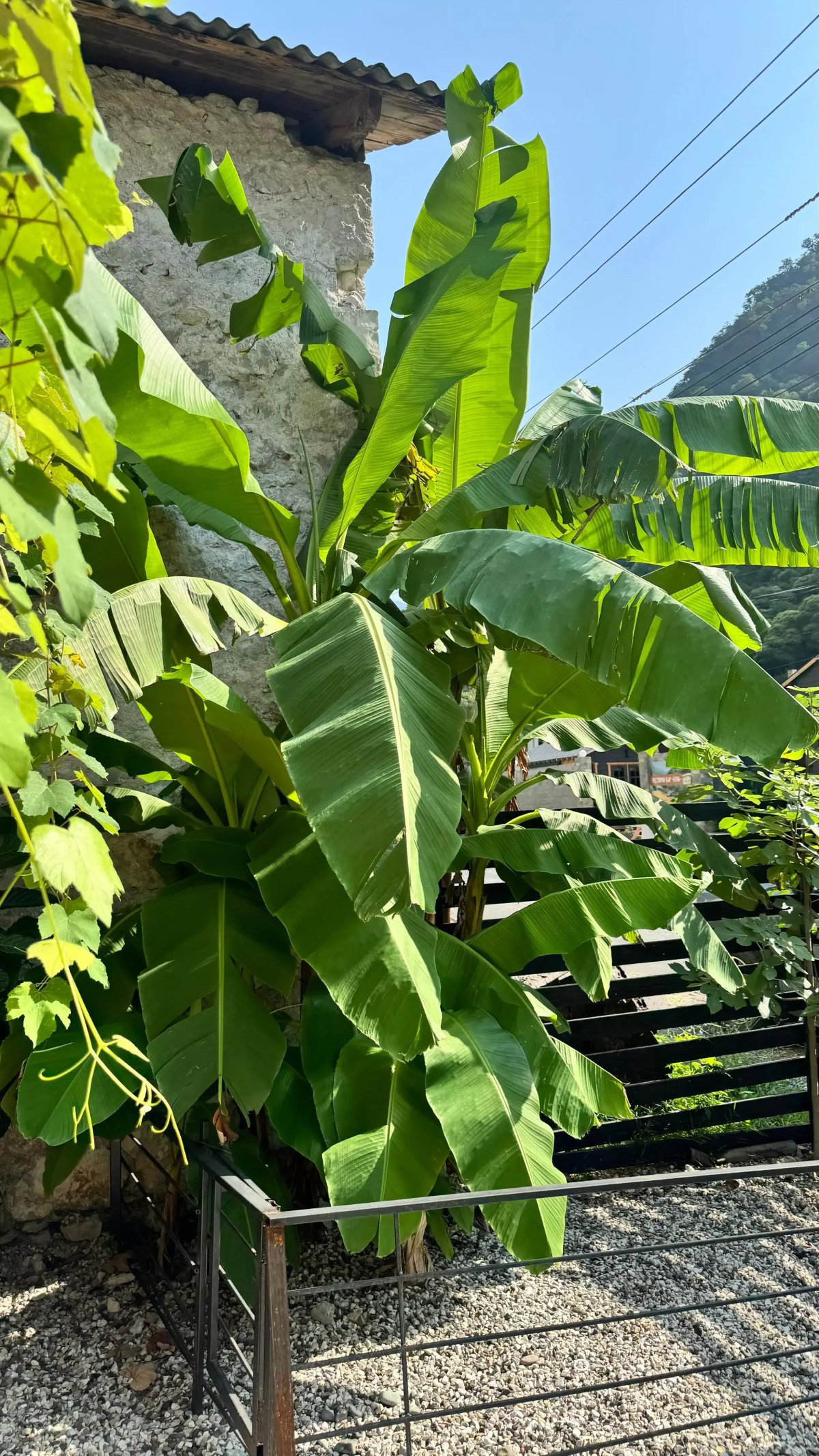 Апартаменты АИБГА