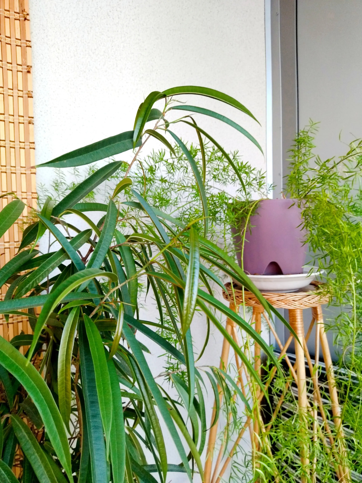 Квартира Видовая Лофт Студия ЖК Манхэттен