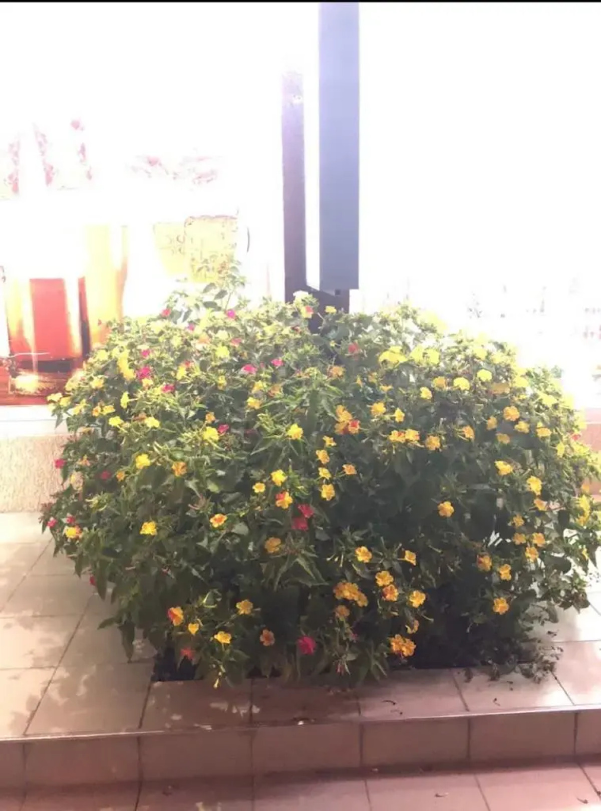 Гостевой дом Residence Terrace