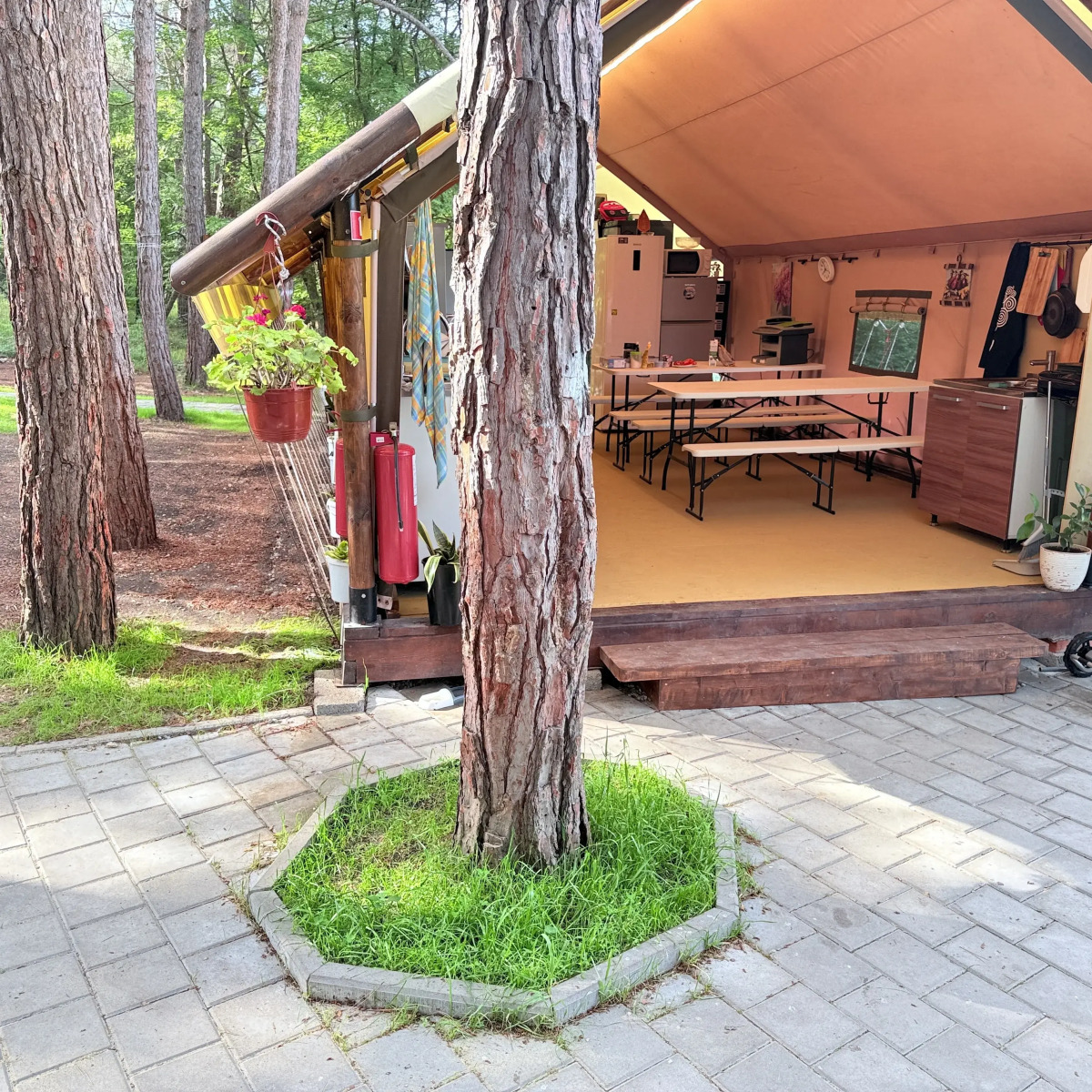 Кемпинг Под Соснами