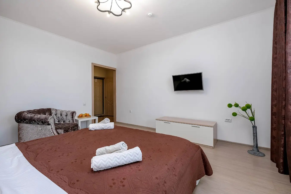 Уютная однокомнатная квартира на Ленина 81