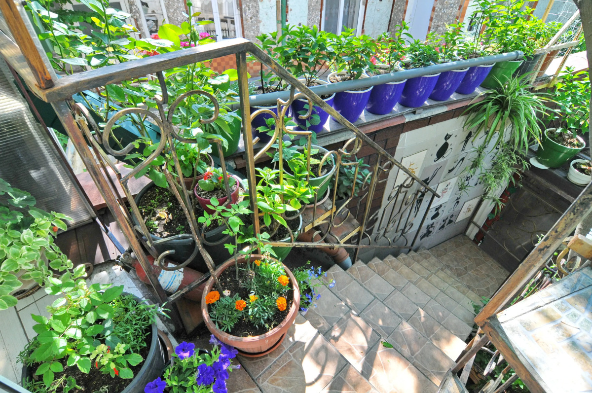 Гостевой дом Роман и Светлана