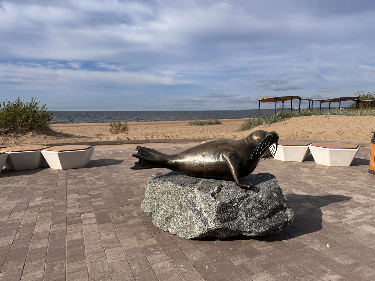 Апартаменты на берегу Финского залива в ЖК Светлый Мир