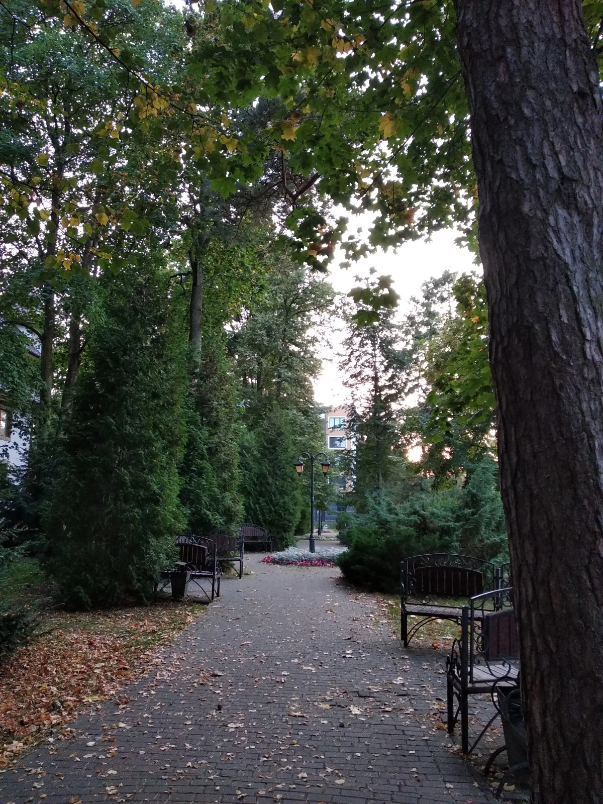 Апартаменты Деметрис