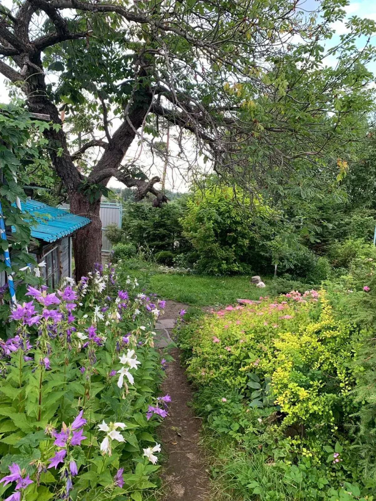 Частный дом в городе Петрозаводске с красивым уединённым участком и баней