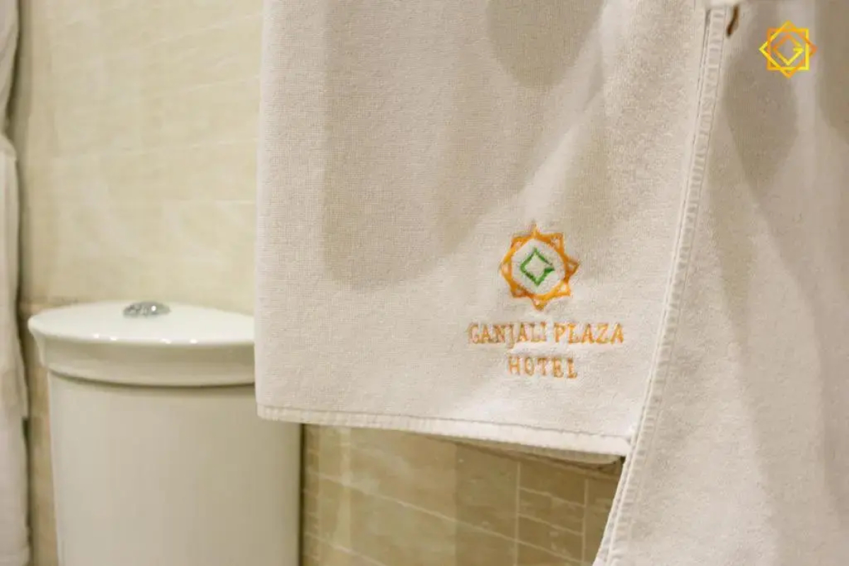 Отель Ganjali Plaza