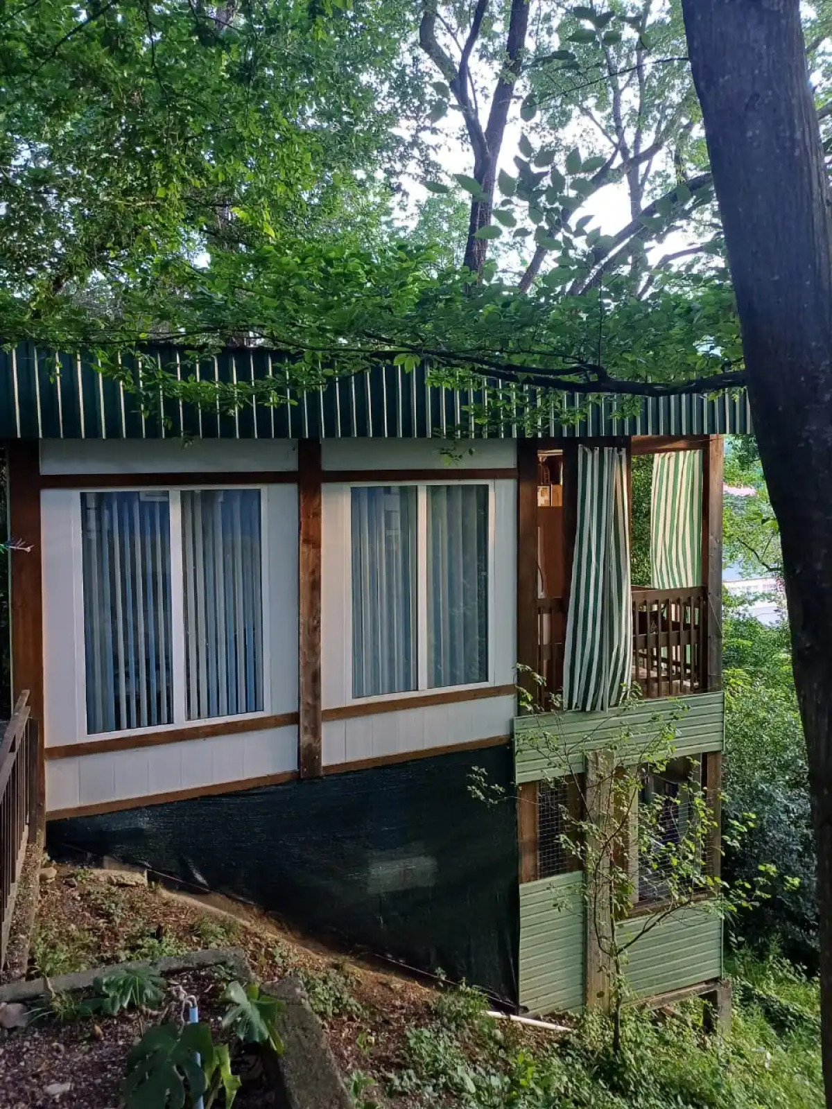 Бунгало Лесная тишина