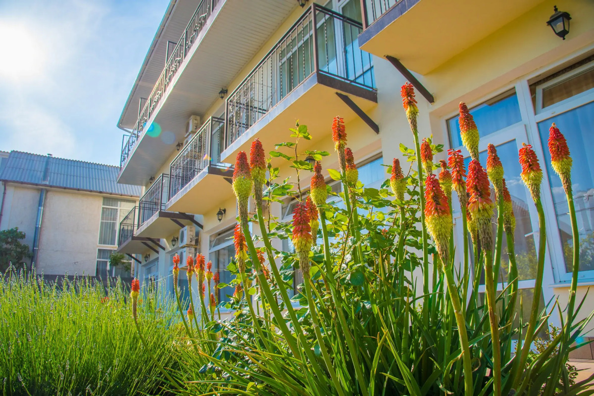 Гостевой Дом Роза Ветров