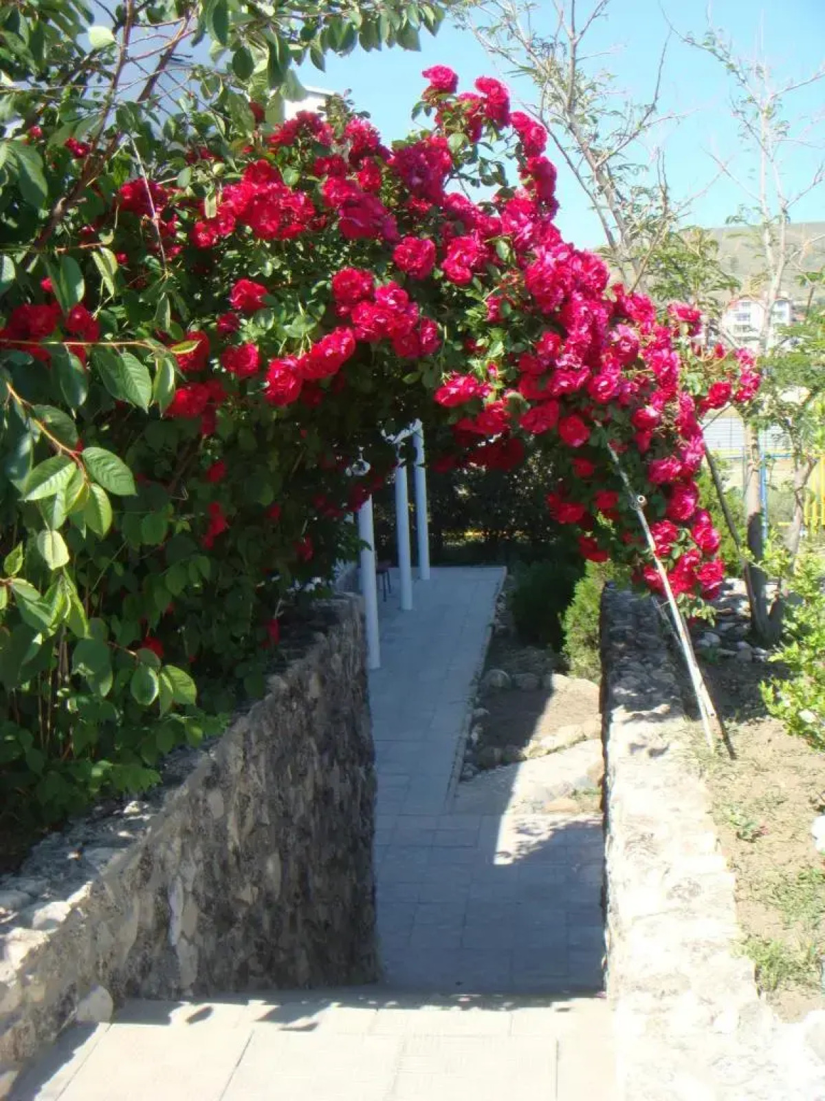 Оздоровительный Комплекс Лазурный