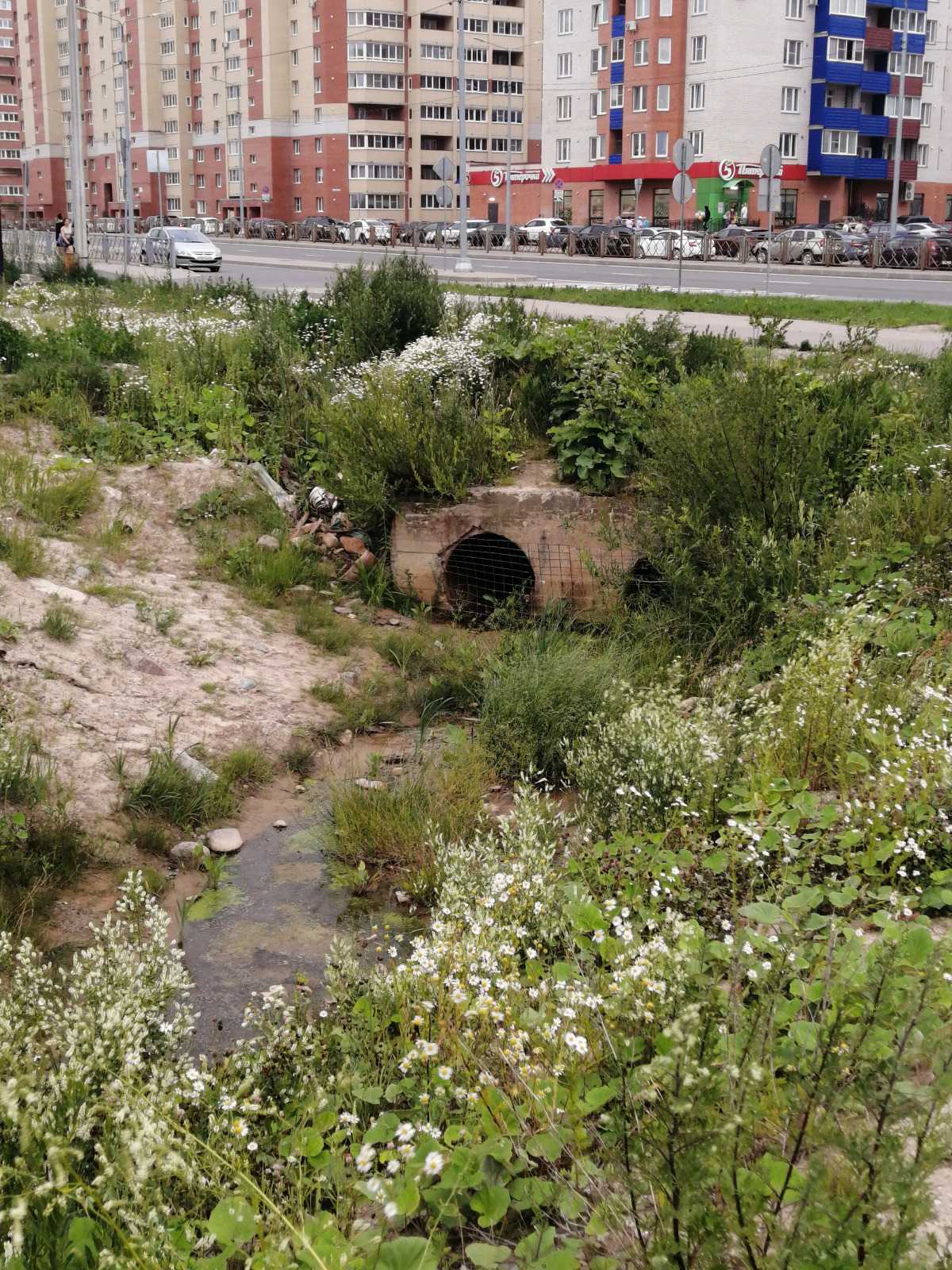 Квартира Студия с видом на город