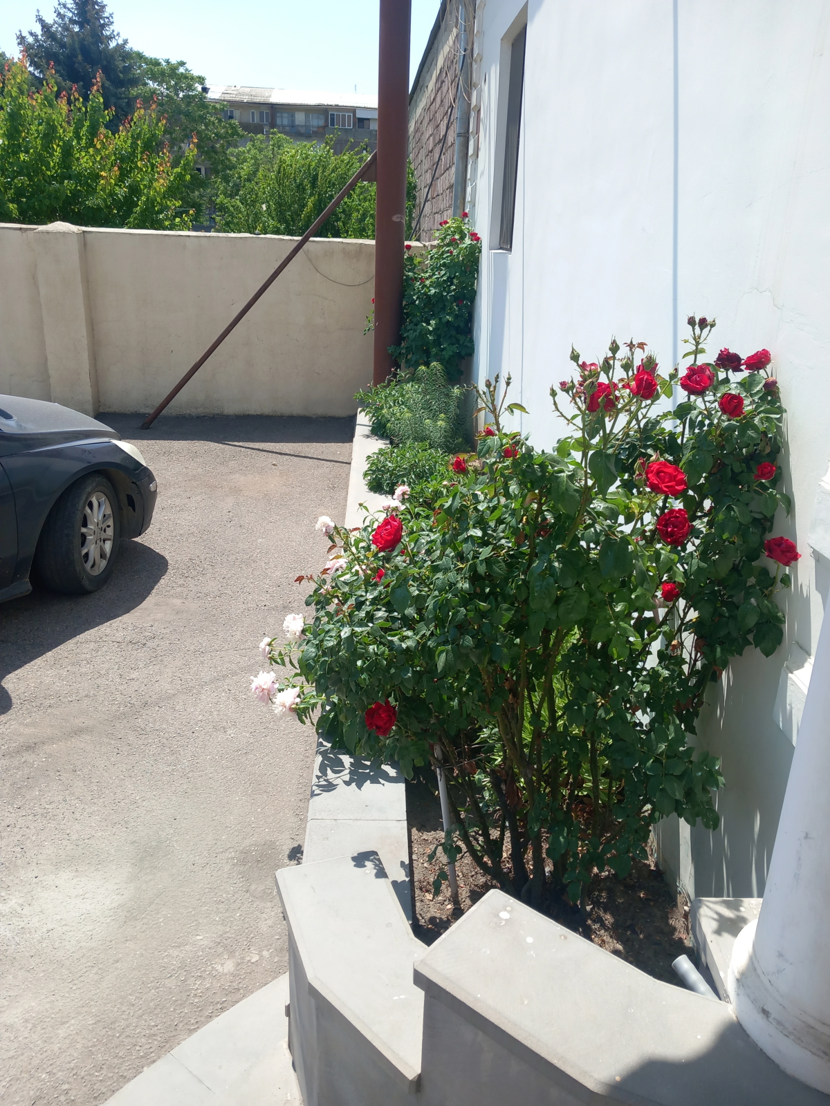 Hotel Star Zvartnoc Evn Airport