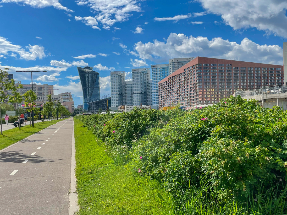 Апартаменты Уютные Просторные у  Метро ЦСКА