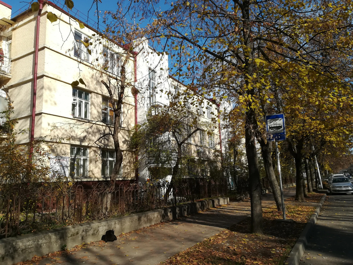 Квартира Каштановая Аллея