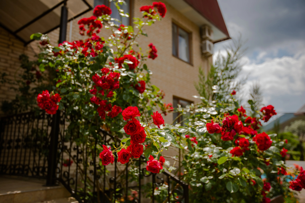 Гостевой дом Золотые Ворота