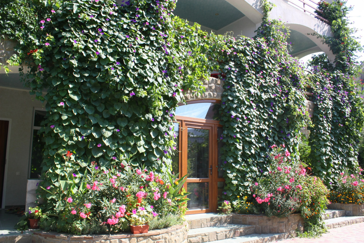 Гостевой дом Бунгало у Романа