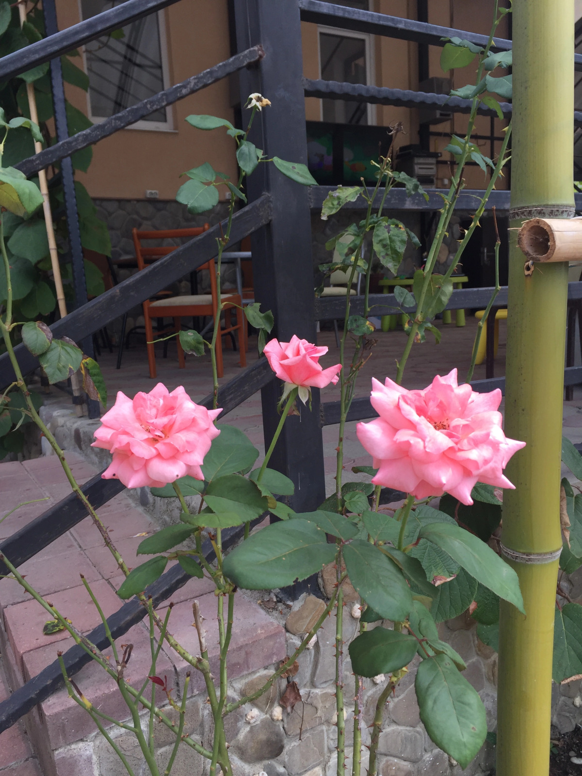 Отель Уютный причал