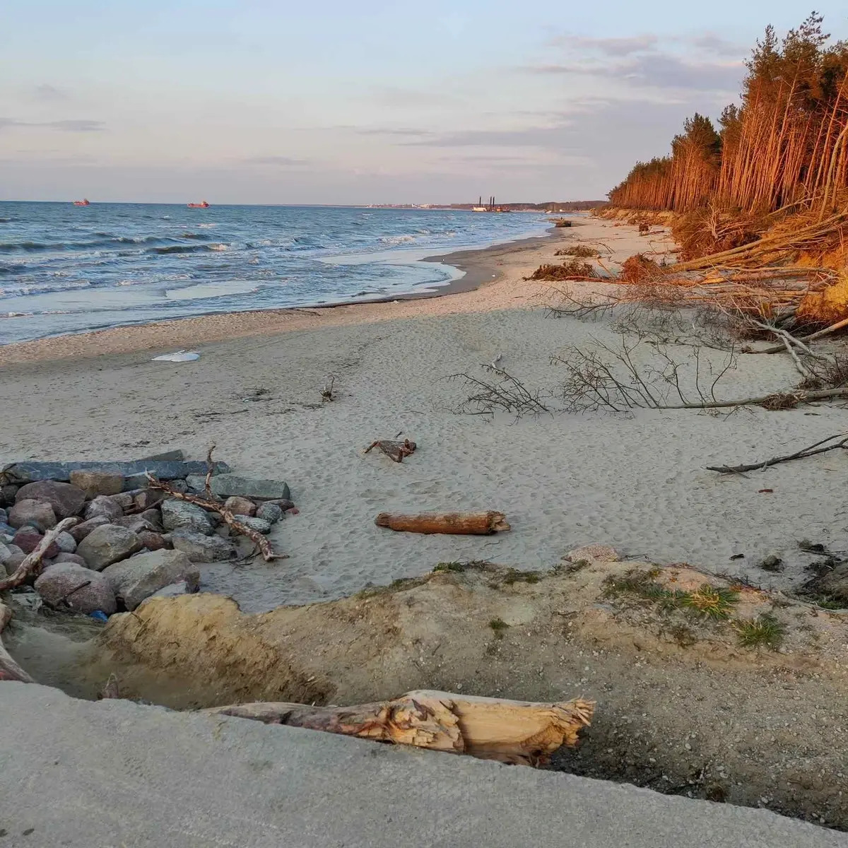 Гостевой дом Лайна