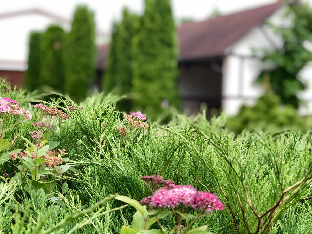 Отель Ю-Питер