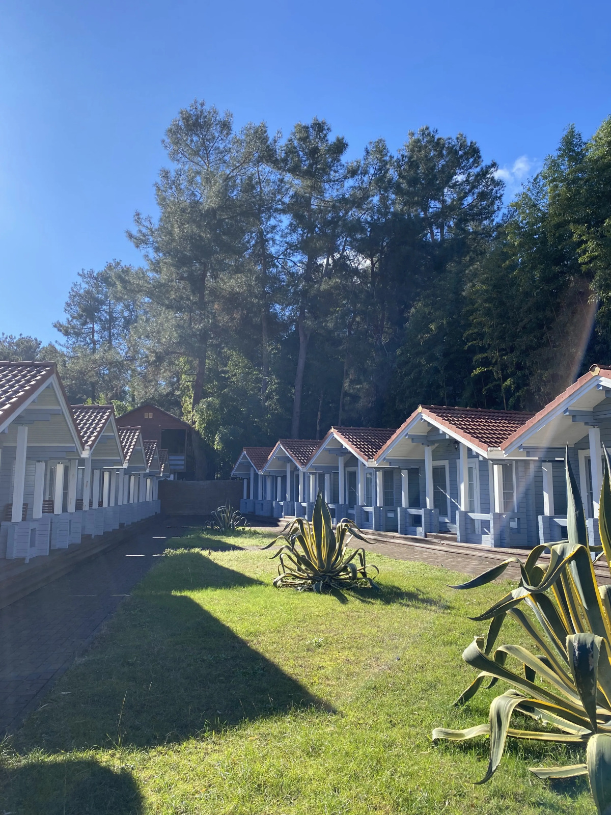 Гостевой дом Ласточка Роща