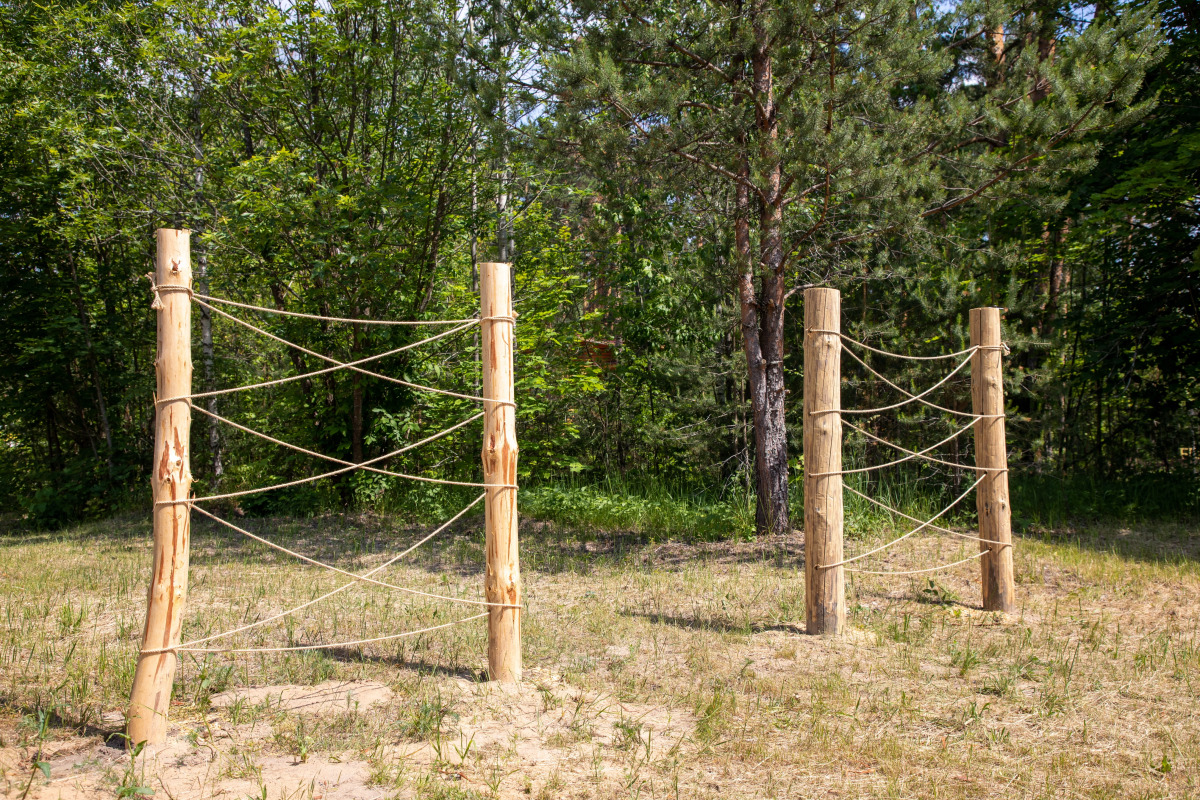 Отель Сосновый бор