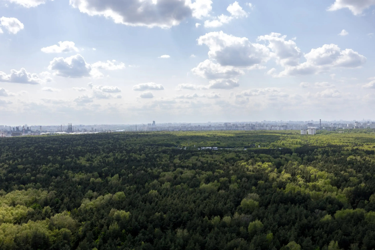 Квартира Студия на 30-ом Этаже с Видом на Лес