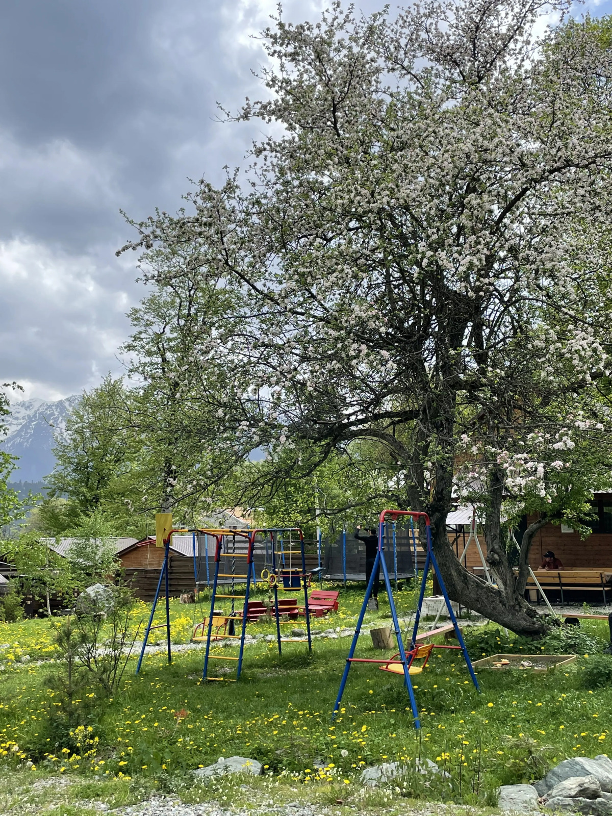 Шале Барбарис