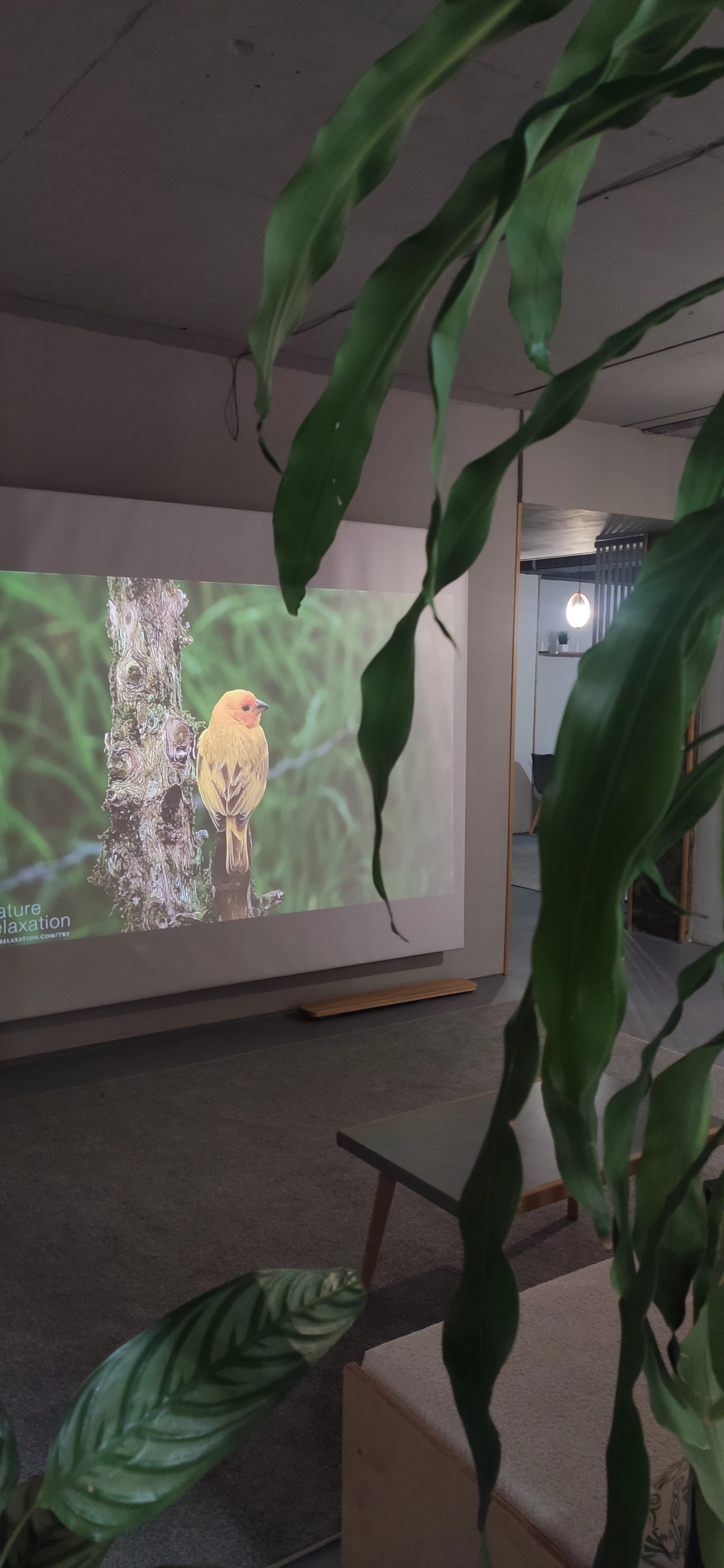 Мини-отель 4 комнаты