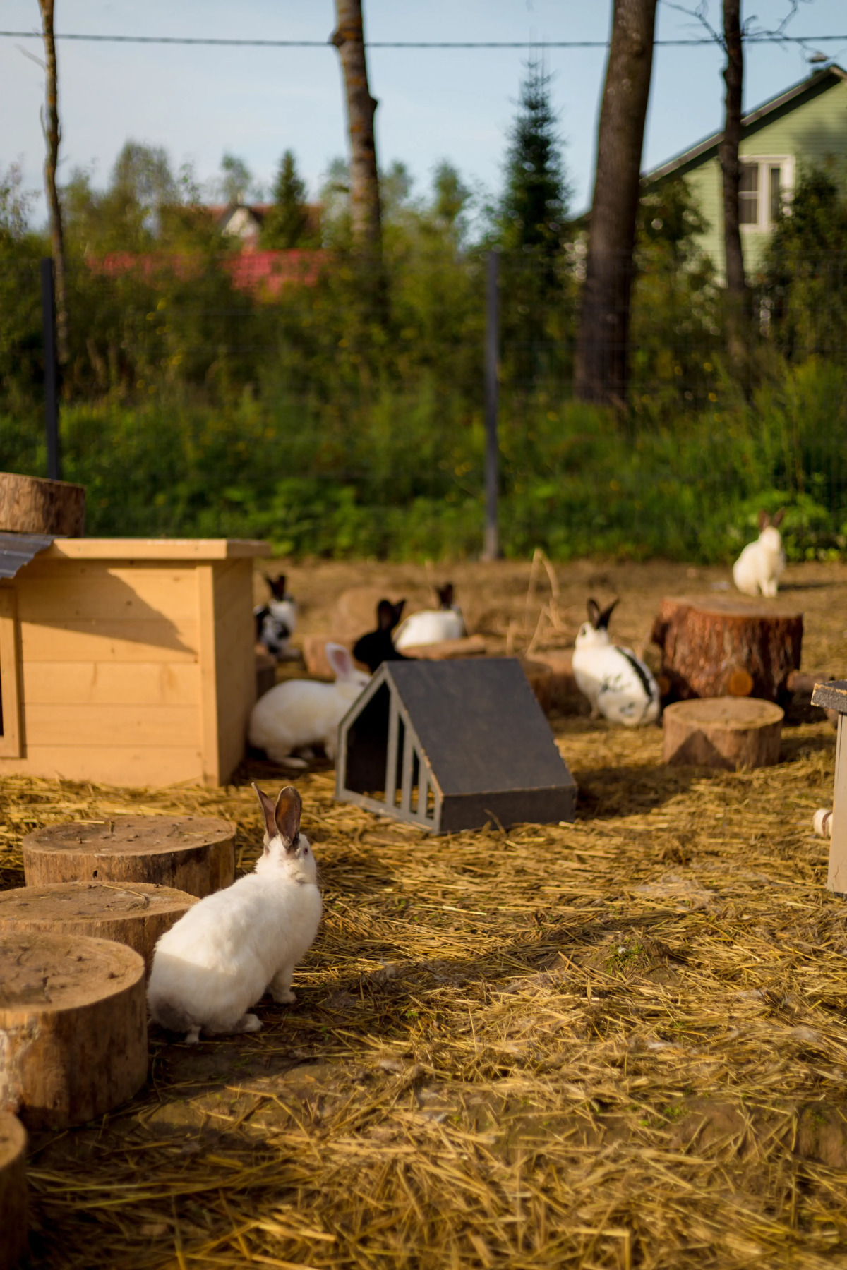 Загородный отель New Riga Village