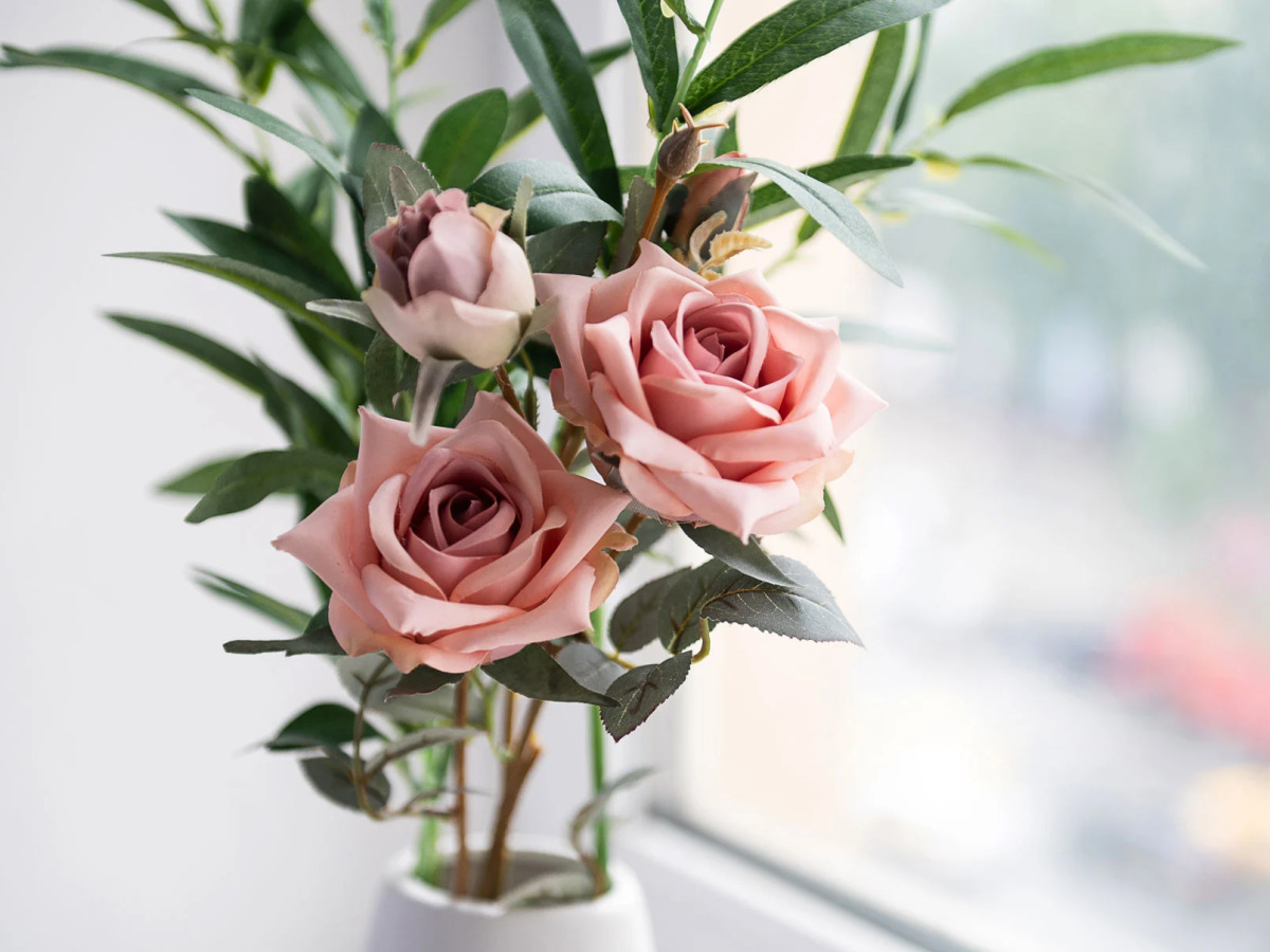 Апартаменты с Видом на Садовую