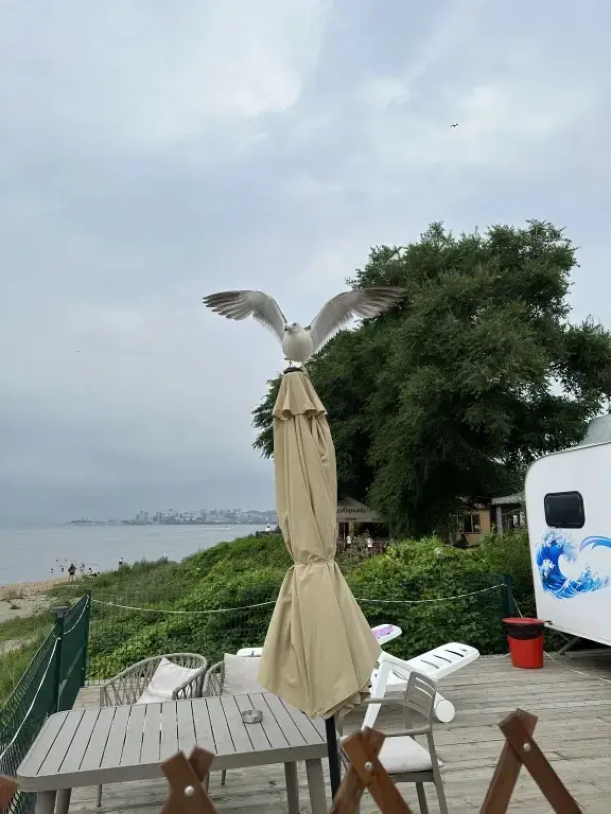 Пляжный Трейлер Кунгасный