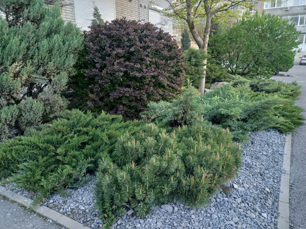 Квартира Студия от Vgosti61 Черное на Белом