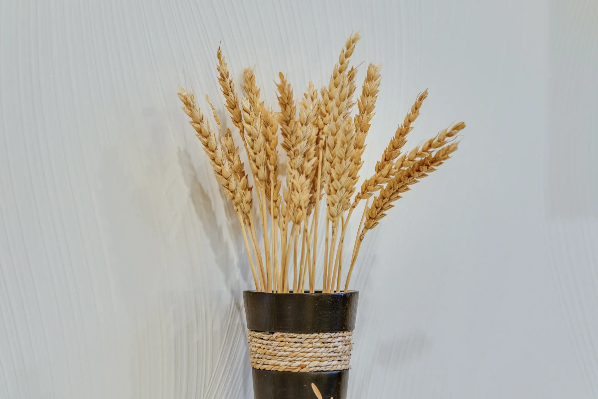 Апартаменты На Комендантском 28