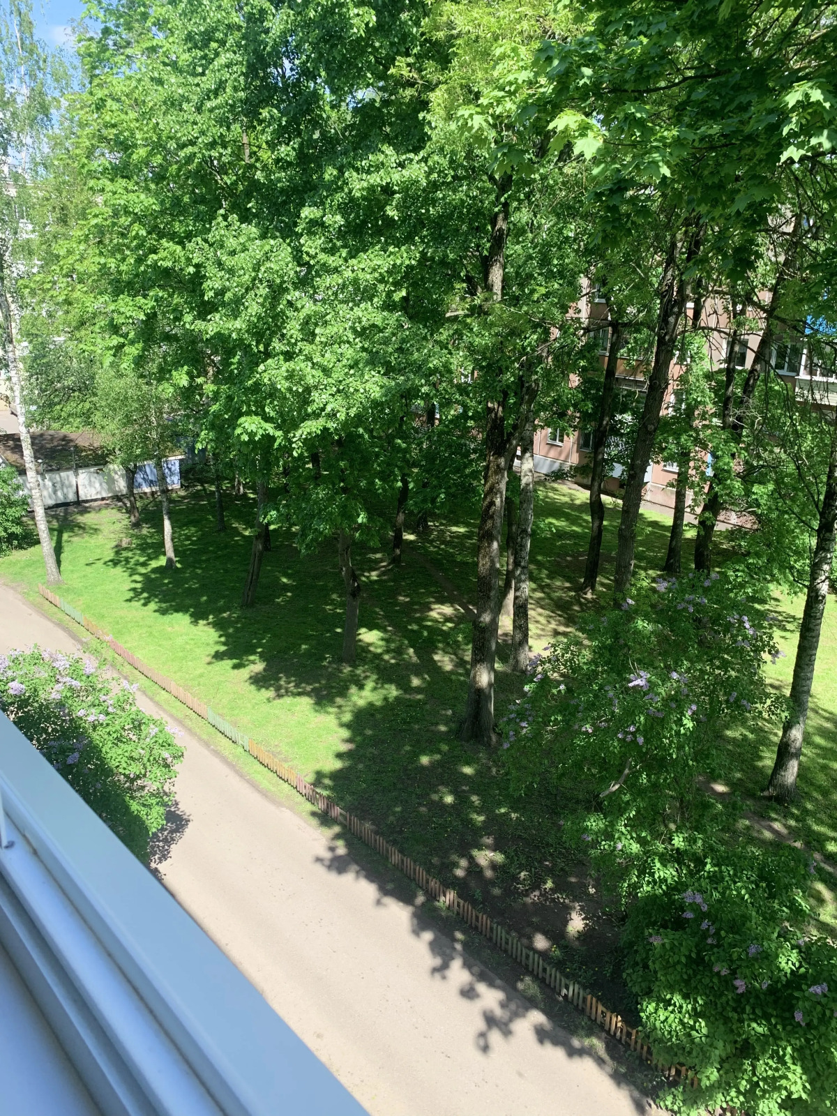 Апартаменты Blue Center City