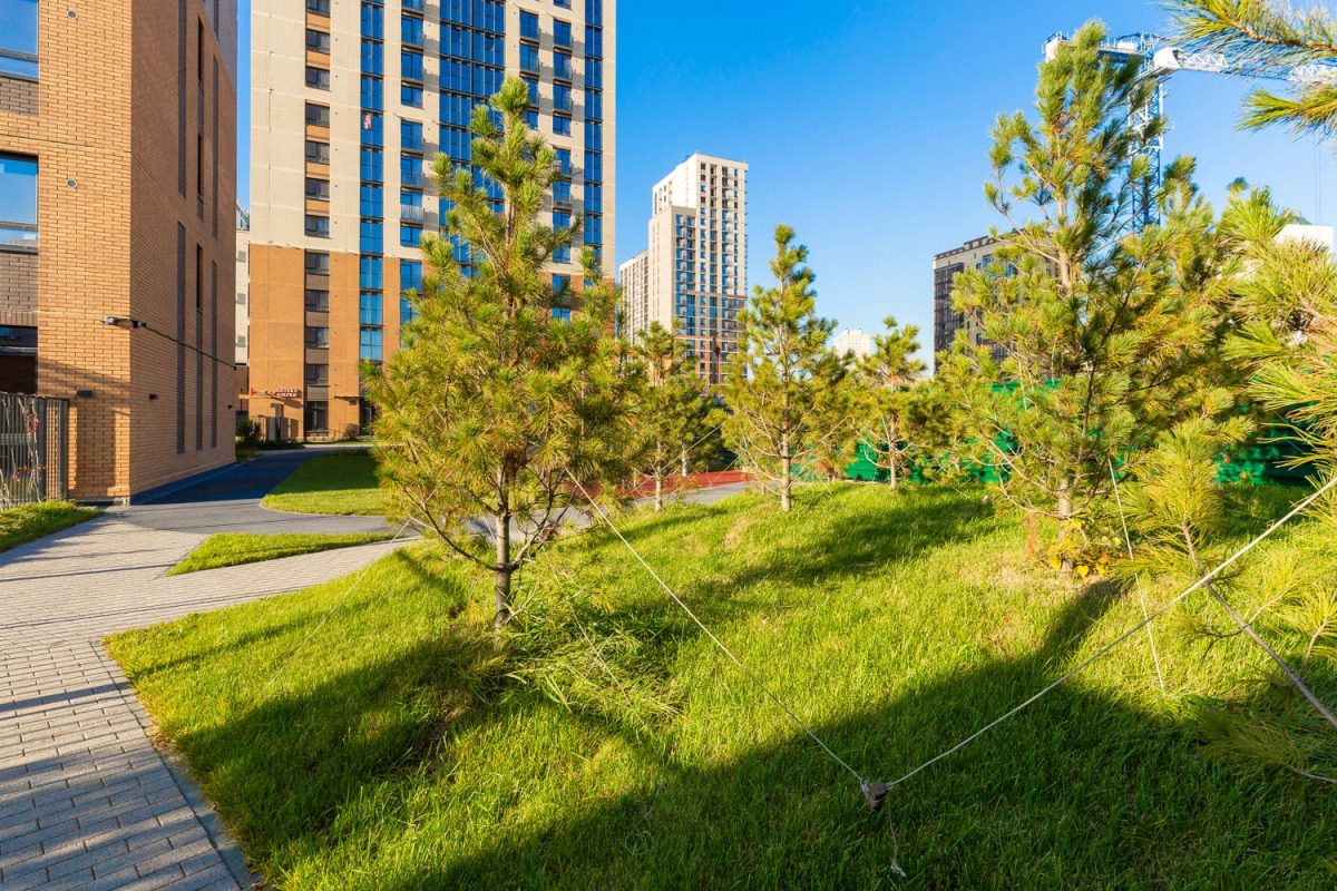 Апартаменты Бизнес класса на Заельцовской