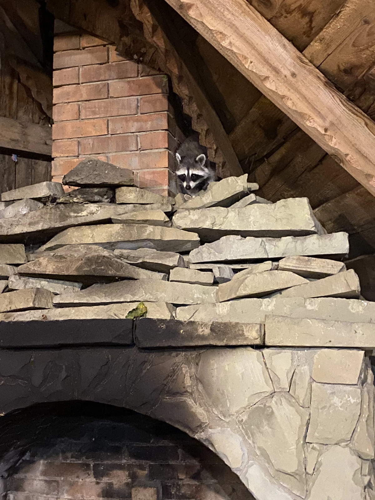 Гостевой дом Отрада