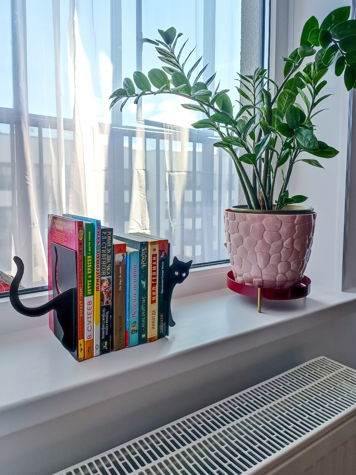 Квартира В гости к Питерскому Коту